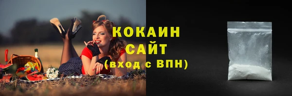 метадон Новодвинск