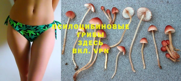 таблы Видное