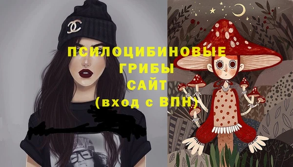 ГАЛЛЮЦИНОГЕННЫЕ ГРИБЫ Нея