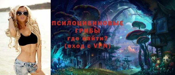 метадон Новодвинск