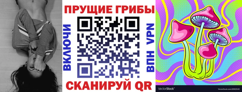 мега tor  Тавда  Псилоцибиновые грибы ЛСД  где купить  