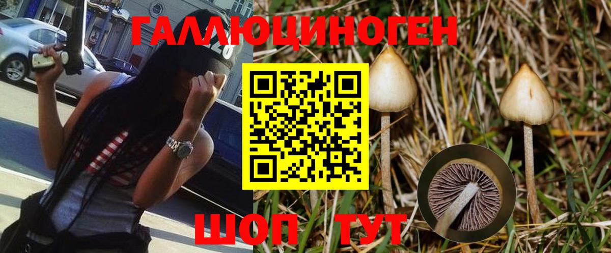 Псилоцибиновые грибы Psilocybine cubensis  цены   Тавда 