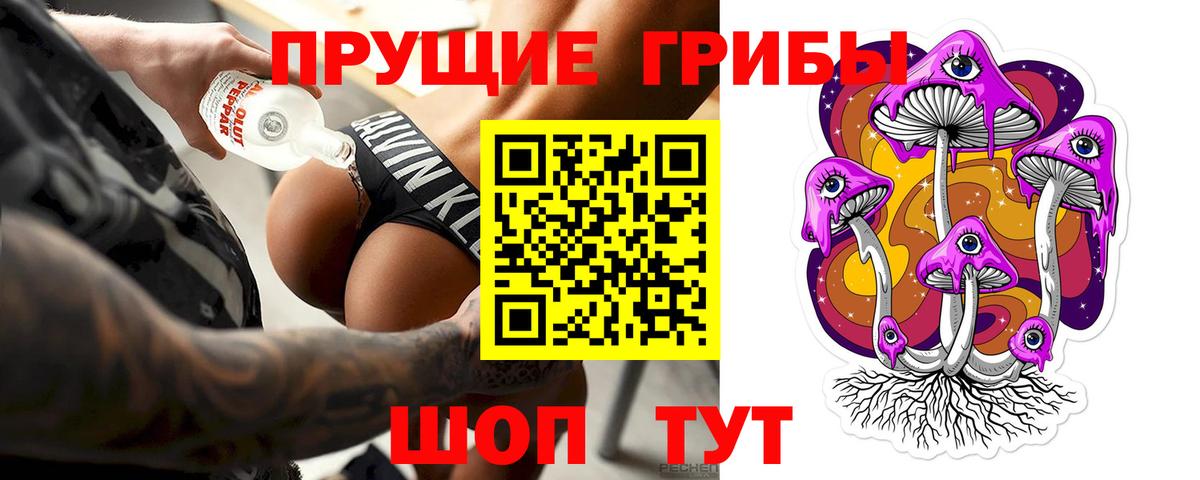 Псилоцибиновые грибы мицелий Тавда