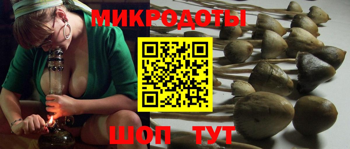 Тавда  Псилоцибиновые грибы Psilocybine cubensis  Вход с VPN 