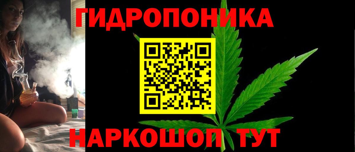 Каннабис конопля Тавда